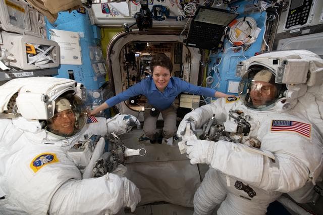 NASA image: iss059e001093