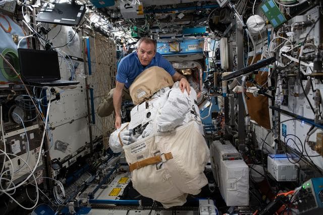 NASA image: iss059e001272