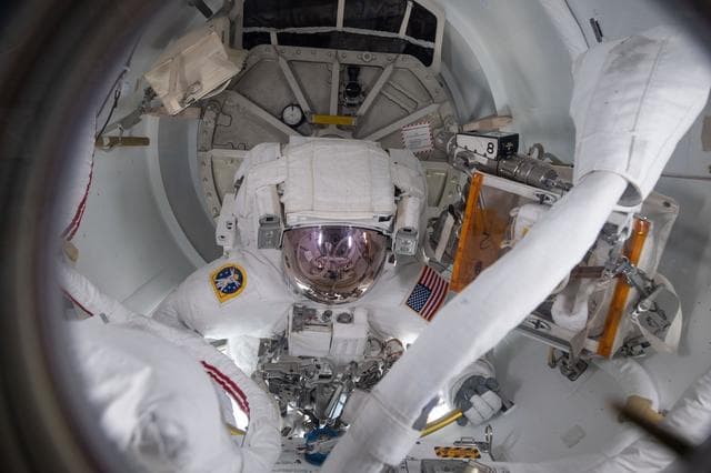 NASA image: iss059e001490