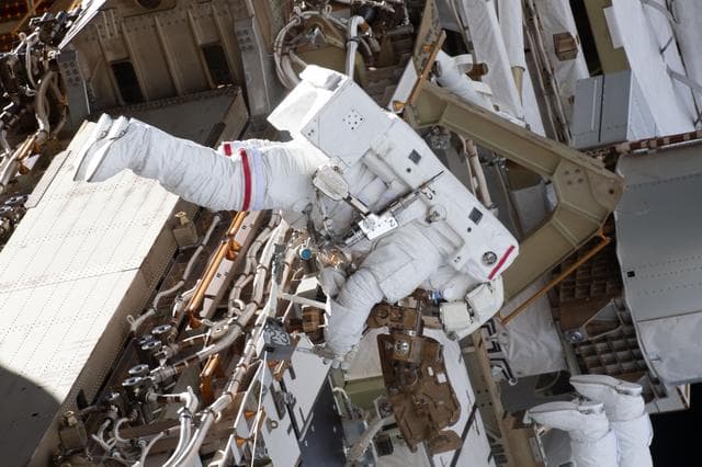 NASA image: iss059e002207