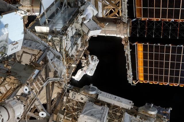 NASA image: iss059e005255