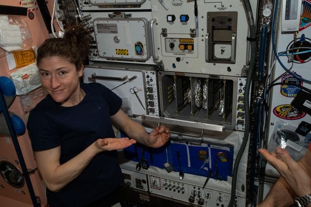 NASA image: iss059e006478