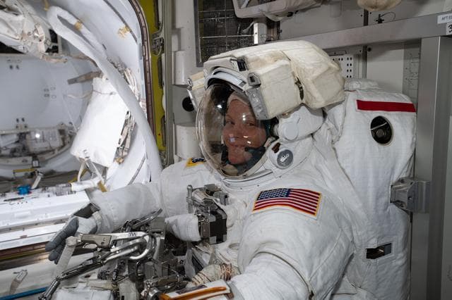 NASA image: iss059e013383