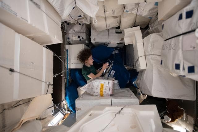 NASA image: iss059e025106