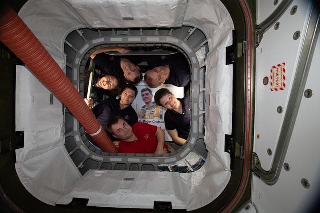 NASA image: iss059e026395