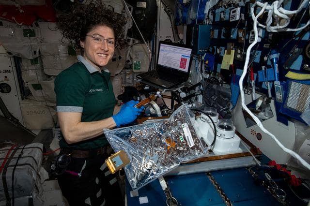 NASA image: Veggie Ponds experiment Initiation