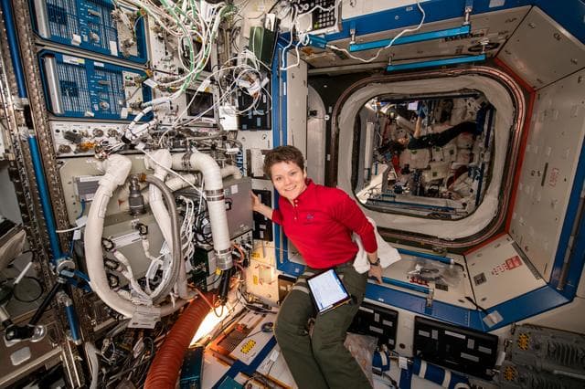 NASA image: In-Flight Maintenance Thermal Amine Installation
