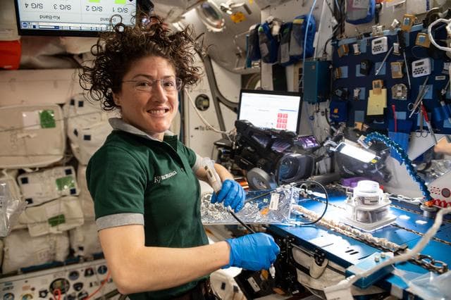NASA image: Veggie Ponds experiment Initiation