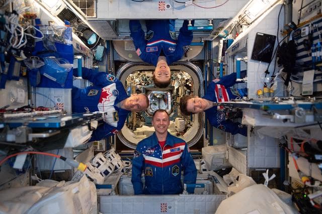 NASA image: iss059e042227