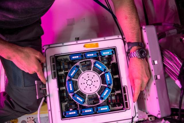 NASA image: Nano Antioxidants Experiment Containers in Kubik