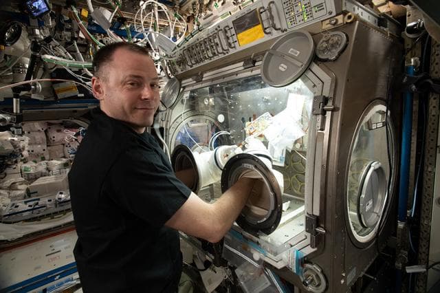 NASA image: Micro-14 Yeast Inoculation in MSG