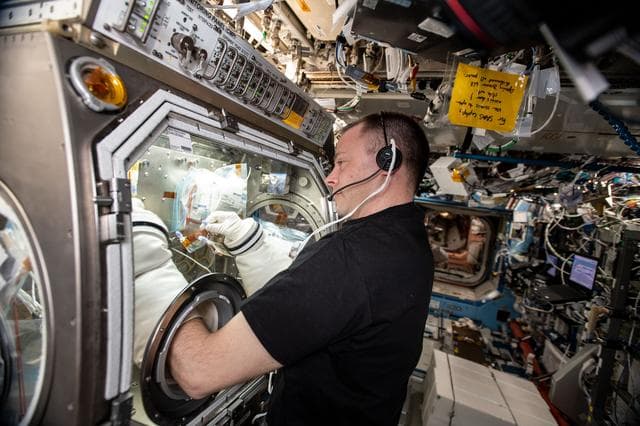 NASA image: iss059e061522
