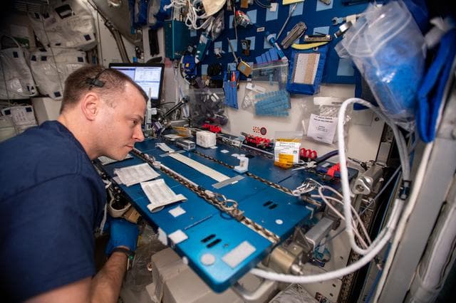 NASA image: iss059e068226