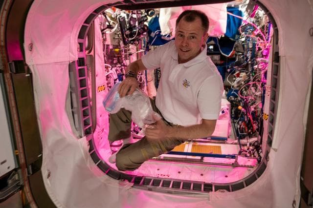 NASA image: iss059e078446