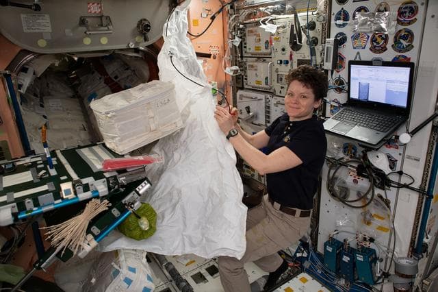 NASA image: iss059e092264