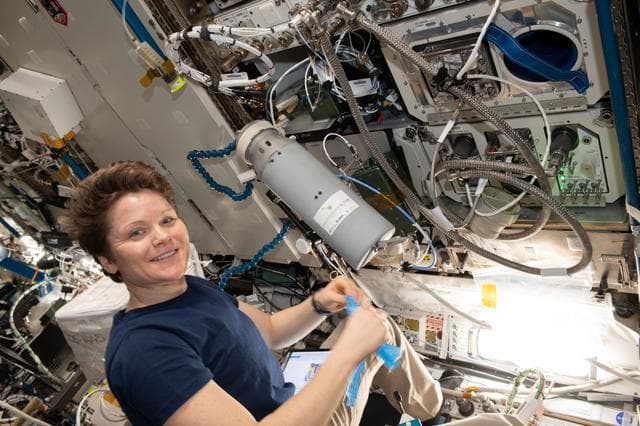 NASA image: PBR (Photobioreactor)