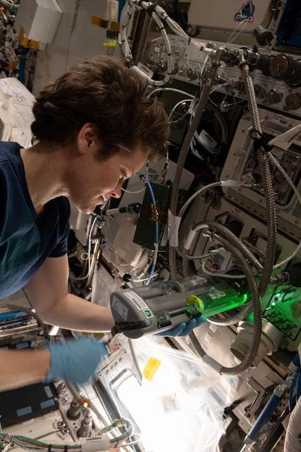 NASA image: PBR (Photobioreactor)