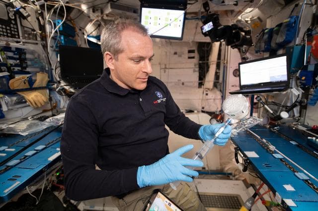 NASA image: iss059e092719