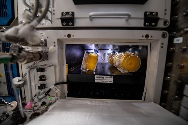 NASA image: iss059e099184