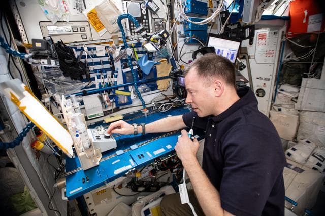 NASA image: iss059e112425