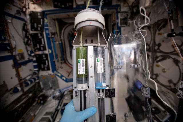 NASA image: Photobioreactor