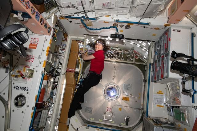 NASA image: IFM SSRMS Jumper Routing