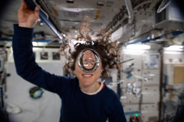 NASA image: iss060e001486