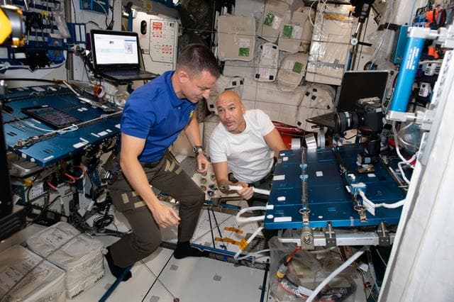 NASA image: iss060e014374