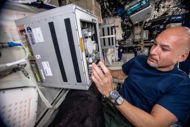 NASA image: Biorock Experiment Installation in KUBIK