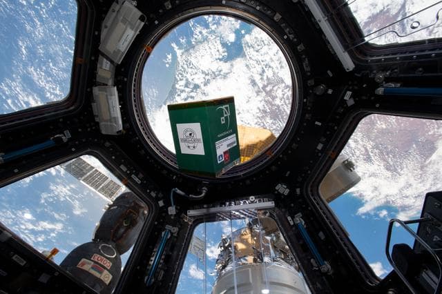 NASA image: iss060e020116