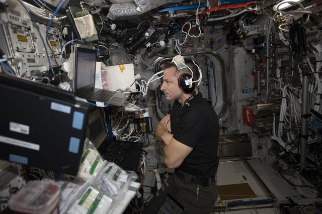NASA image: iss060e033664