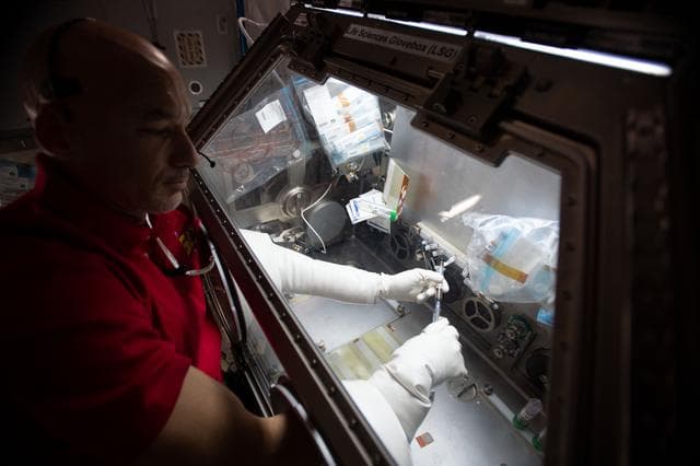 NASA image: iss060e035097
