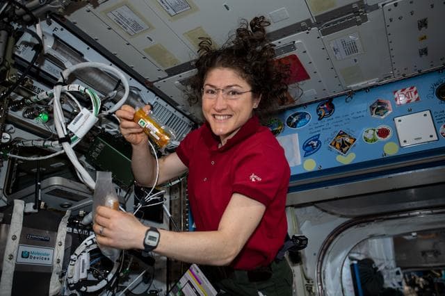 NASA image: iss060e035164