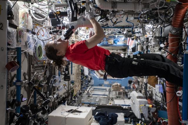 NASA image: iss060e053892