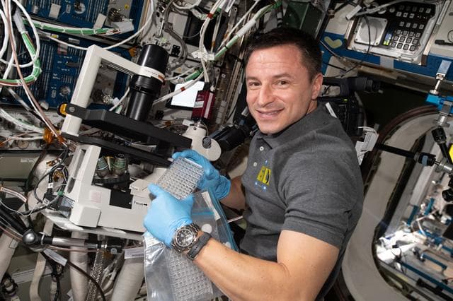 NASA image: iss060e062282