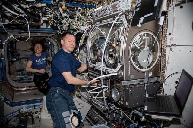 NASA image: iss060e073417