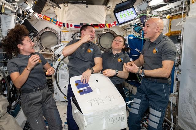NASA image: iss061e003995