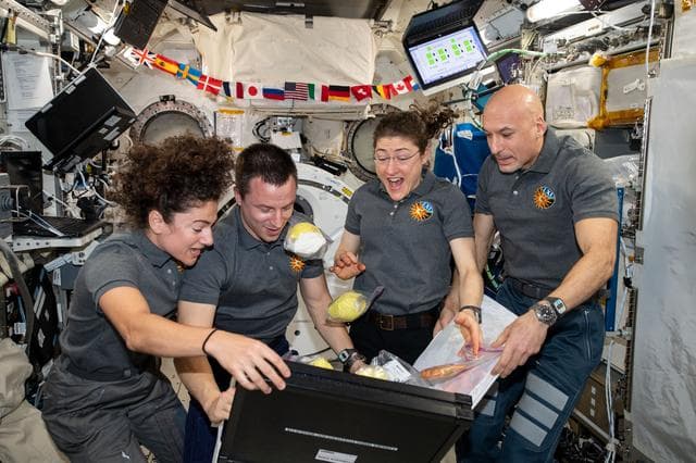 NASA image: iss061e004031