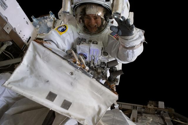 NASA image: iss061e011841