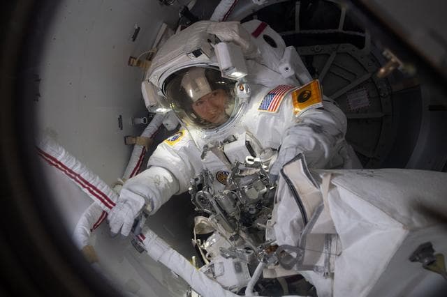 NASA image: iss061e011934