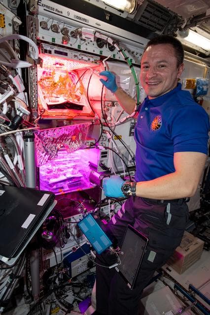 NASA image: iss061e012956