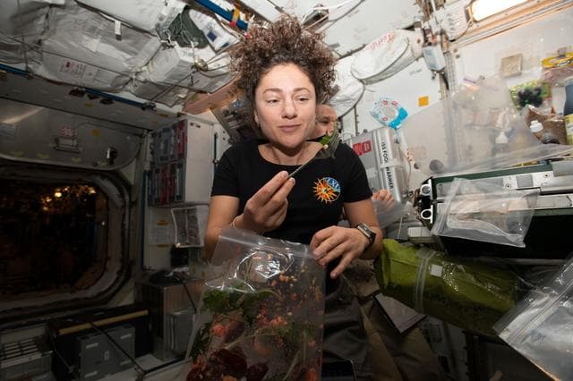 NASA image: iss061e025829