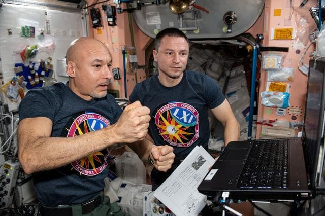 NASA image: iss061e033521