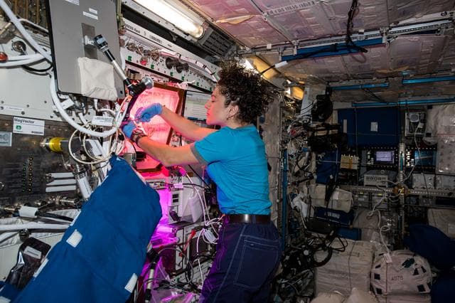 NASA image: iss061e038294