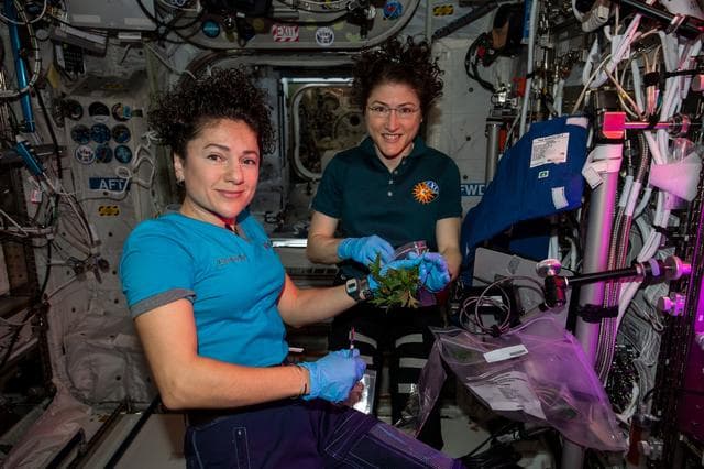 NASA image: iss061e038302
