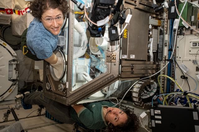 NASA image: iss061e060141