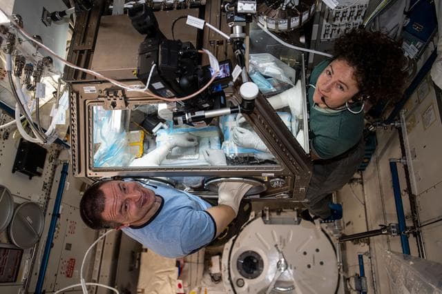 NASA image: iss061e060142