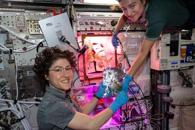 NASA image: iss061e061596