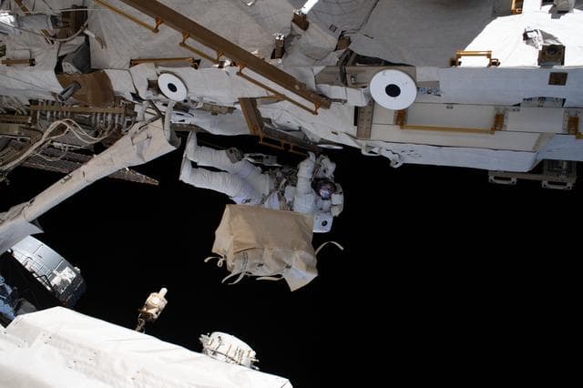 NASA image: iss061e066433