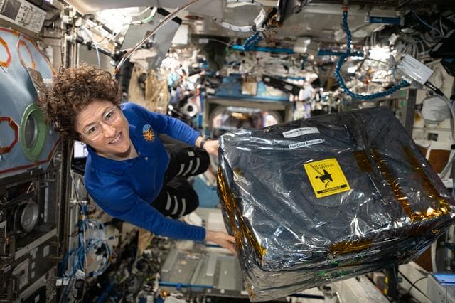NASA image: iss061e068045